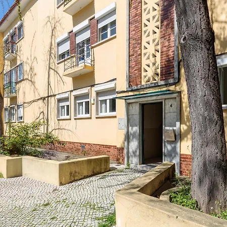 Apartment Lovely To Lisbon